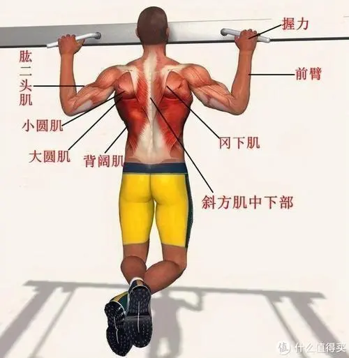 米乐m6：室内健身甩脂机